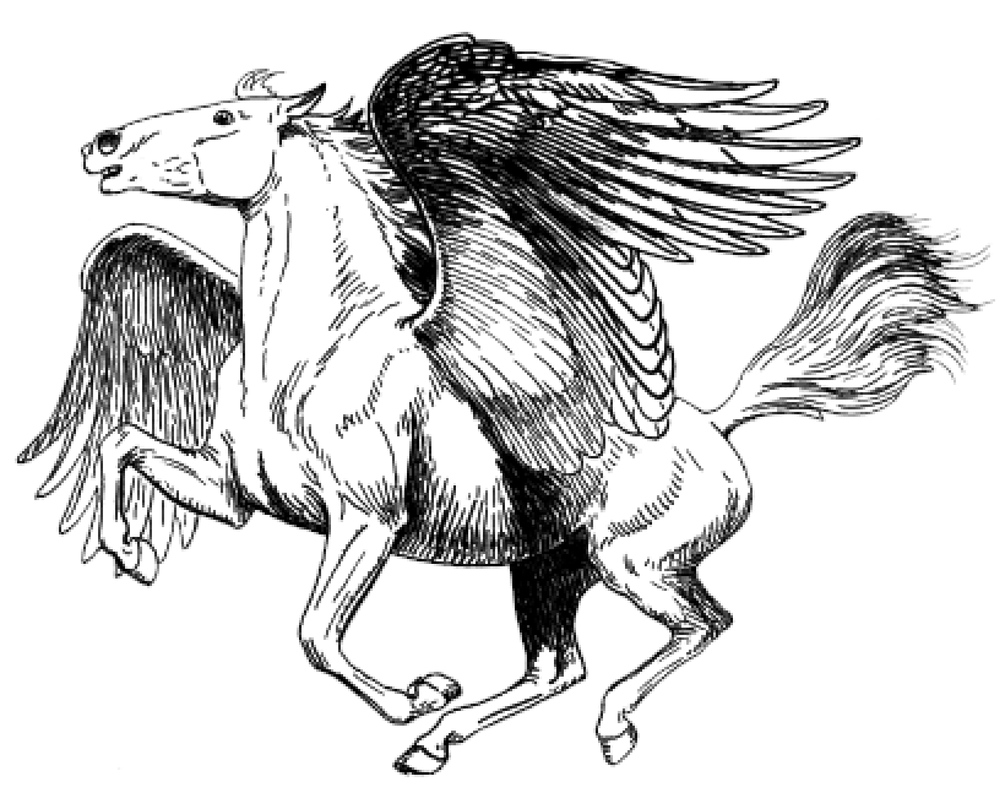 Pegasus