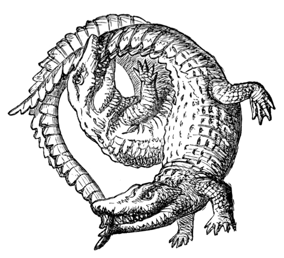 The Jackal and the Alligator